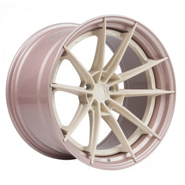 Z Performance ZP.MODULAR 1 Vanilla Ice / Champagne Nuggets Lip 20*9,5